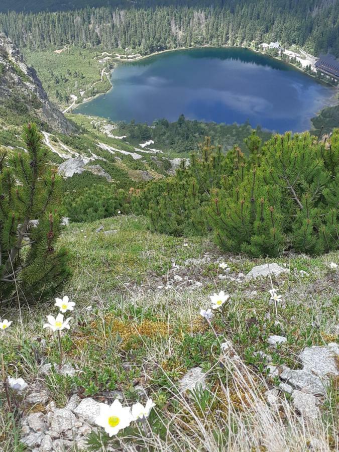 Rodinny Privatny Apartman A309 V Uplnom Centre Stareho Smokovca - Ticha Izba S Parkovanim Vysoke Tatry Luaran gambar